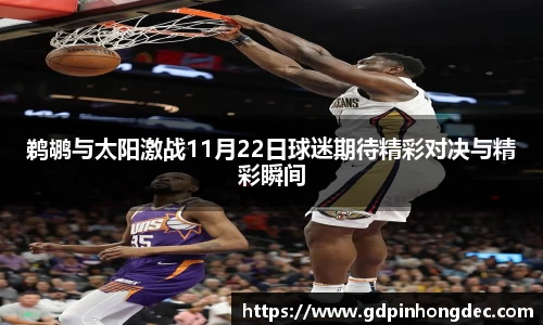 鹈鹕与太阳激战11月22日球迷期待精彩对决与精彩瞬间