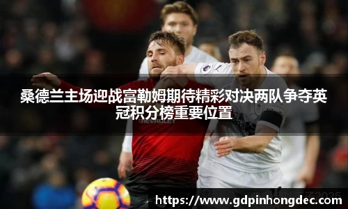 桑德兰主场迎战富勒姆期待精彩对决两队争夺英冠积分榜重要位置