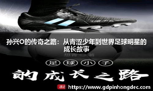 B体育官网
