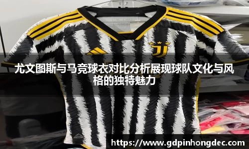 bsports官网入口