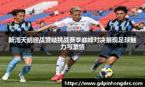 bsports官网