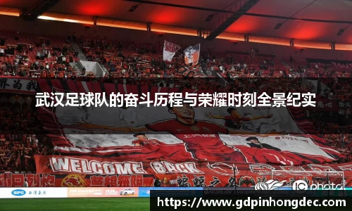 bsports官网入口